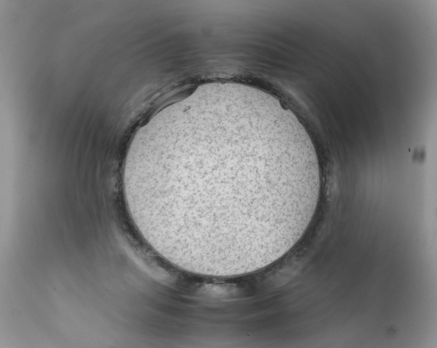 X0000111900455200908171242