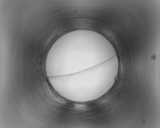 X0000111900457200908171242