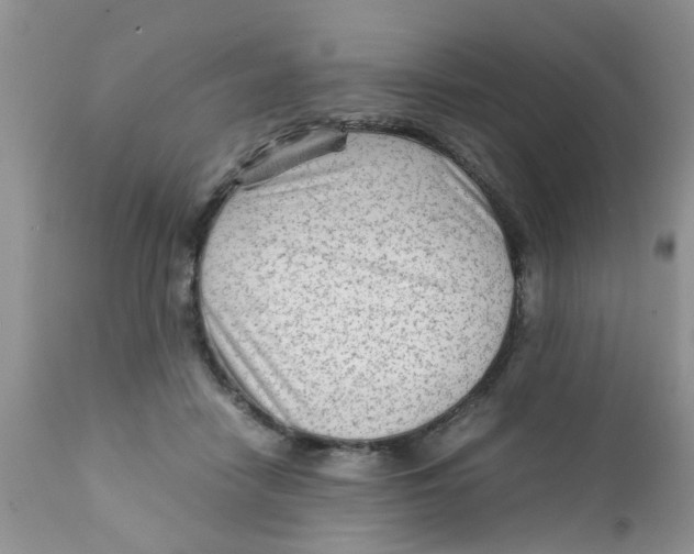 X0000111900458200908171242