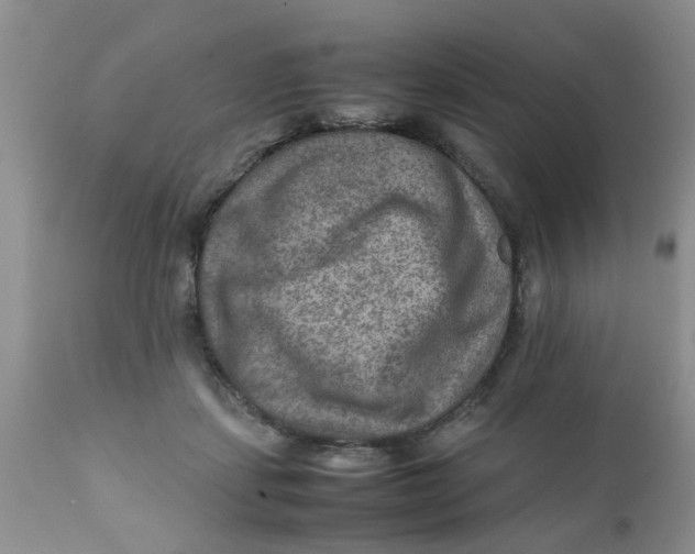 X0000111900459200908171242