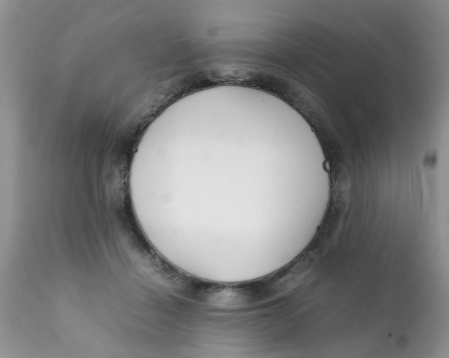 X0000111900460200908171242