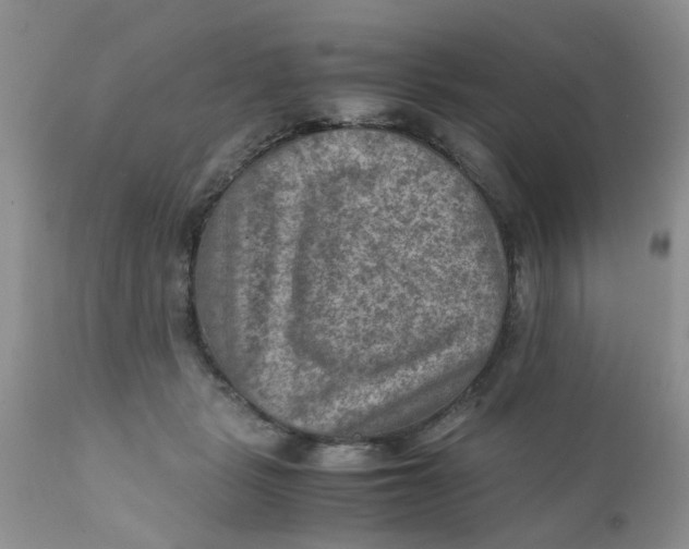 X0000111900461200908171242