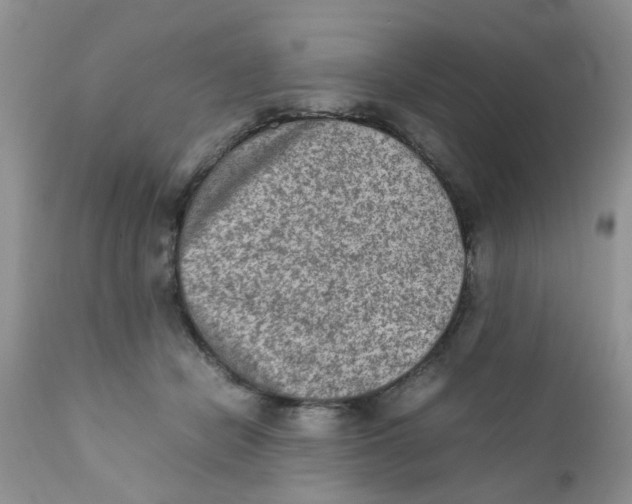 X0000111900462200908171242