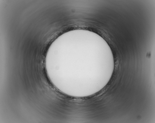 X0000111900464200908171242