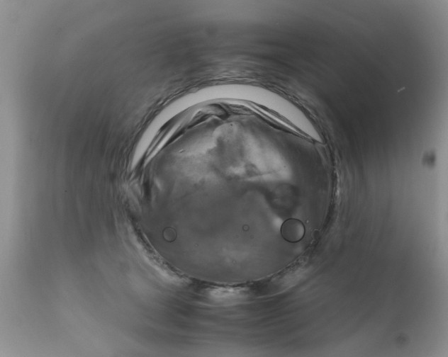 X0000111900465200908171242