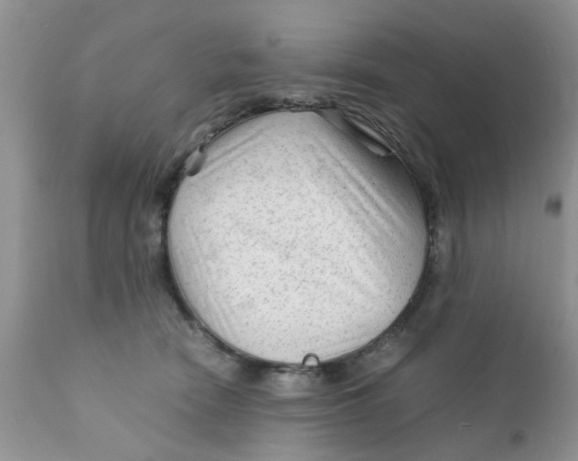 X0000111900466200908171242