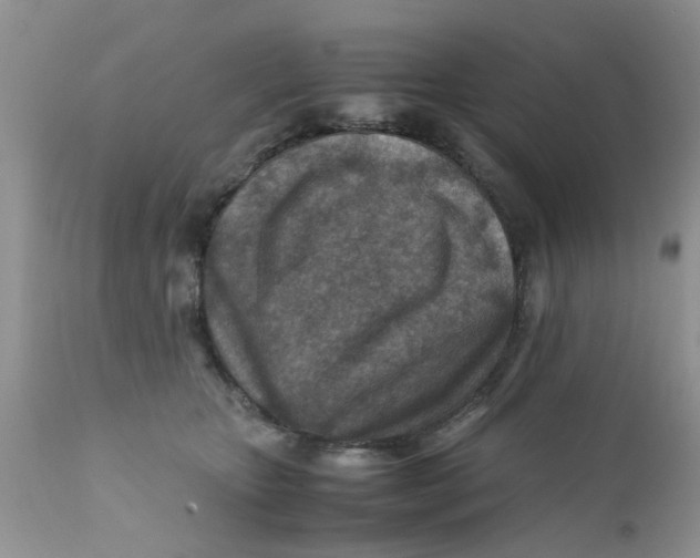 X0000111900467200908171242