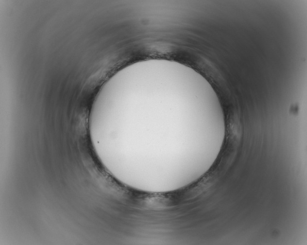 X0000111900468200908171242