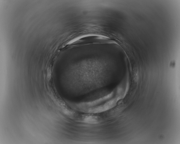 X0000111900471200908171243