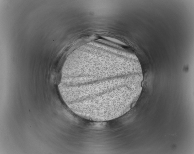 X0000111900474200908171243