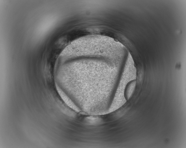 X0000111900477200908171243