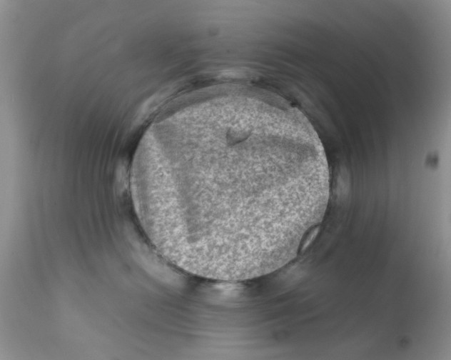 X0000111900478200908171243