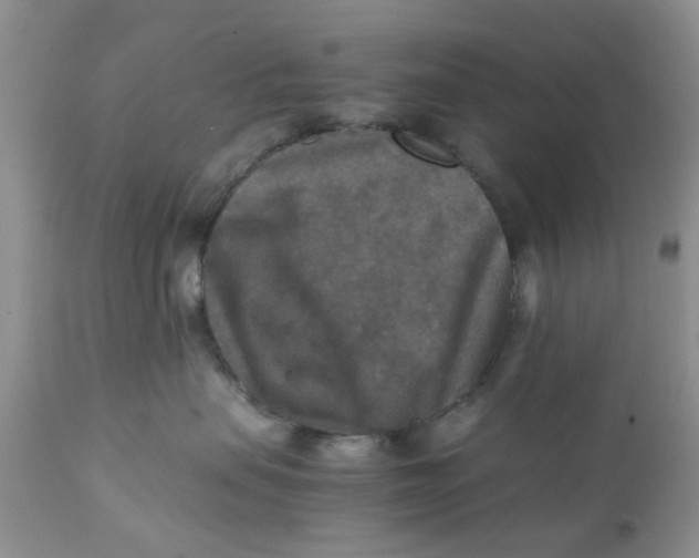 X0000111900479200908171243