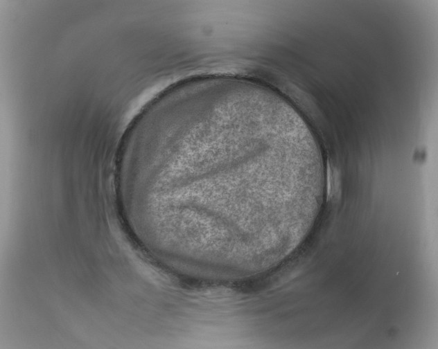 X0000111900483200908171242