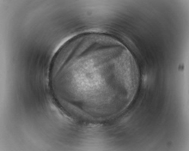 X0000111900484200908171242