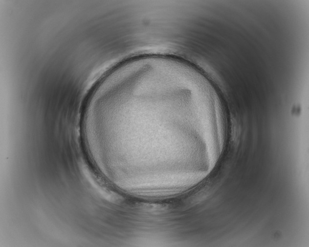 X0000111900486200908171242