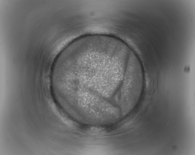 X0000111900487200908171242