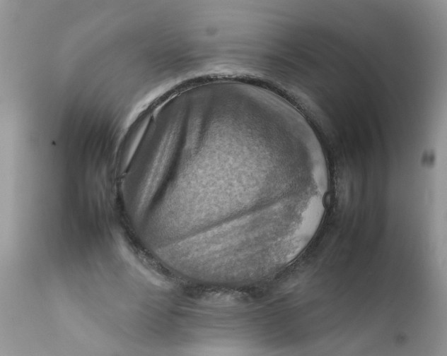 X0000111900488200908171242