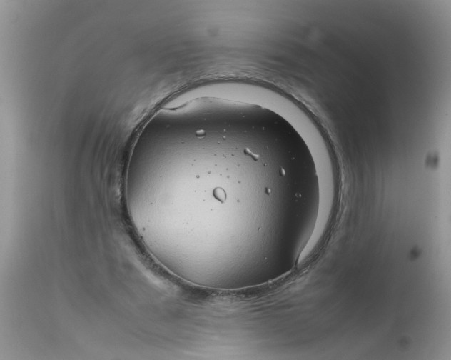 X0000111900489200908171242