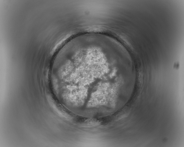 X0000111900491200908171242