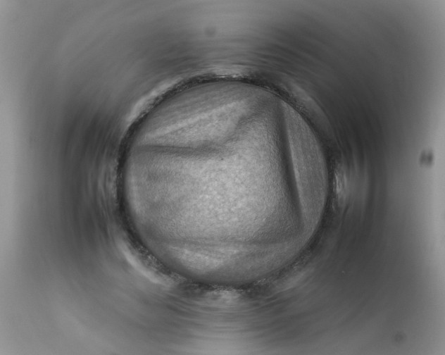 X0000111900492200908171242