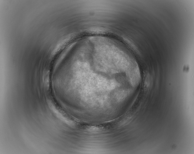 X0000111900494200908171242