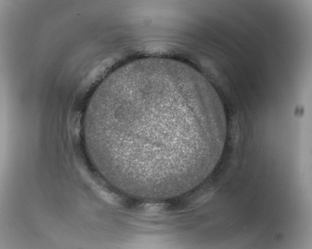 X0000111900495200908171242