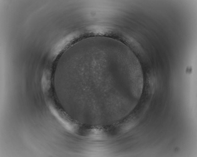 X0000111900496200908171242