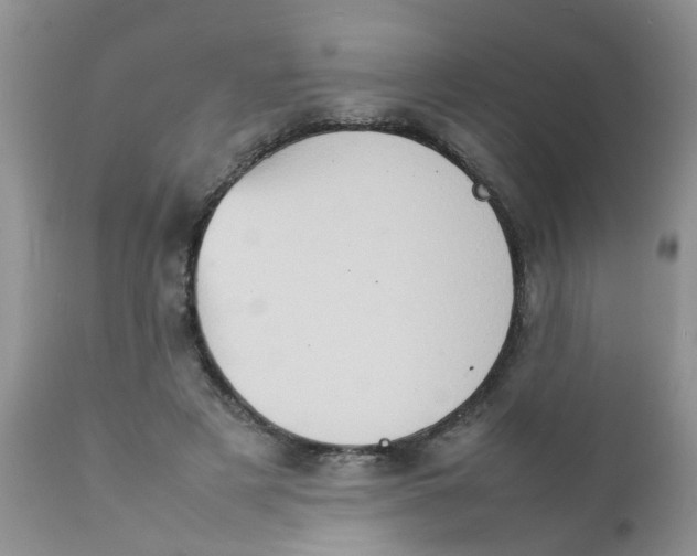 X0000111900497200908171242