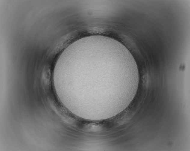 X0000111900498200908171242