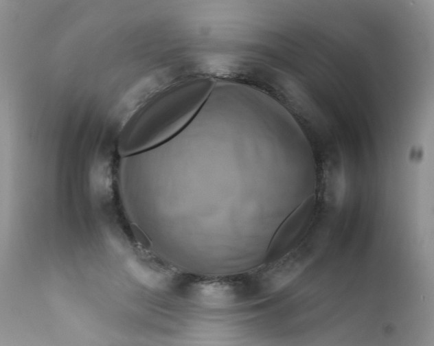 X0000111900500200908171242