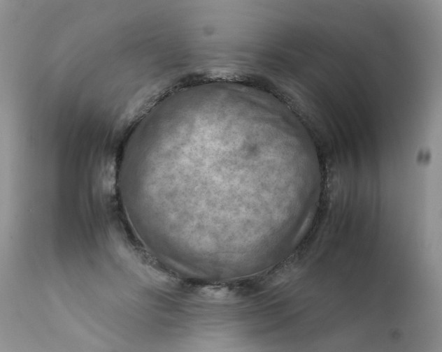 X0000111900502200908171242