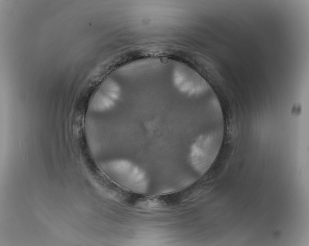 X0000111900503200908171242