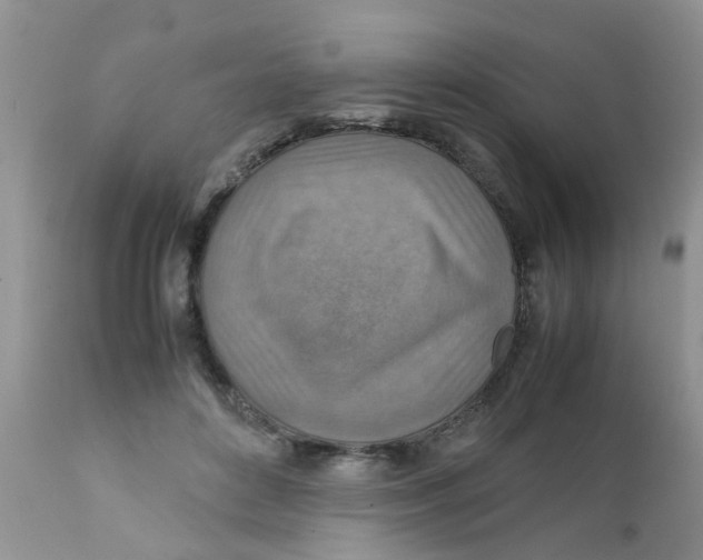 X0000111900504200908171242