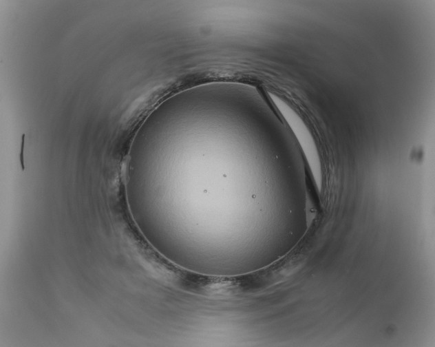 X0000111900505200908171242