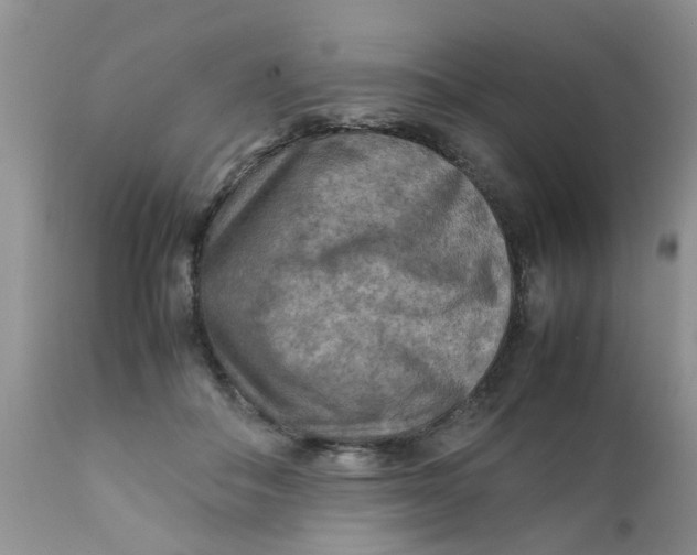 X0000111900506200908171242