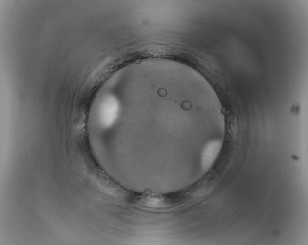 X0000111900507200908171242