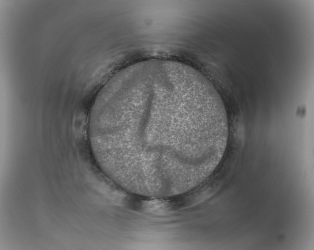 X0000111900511200908171242