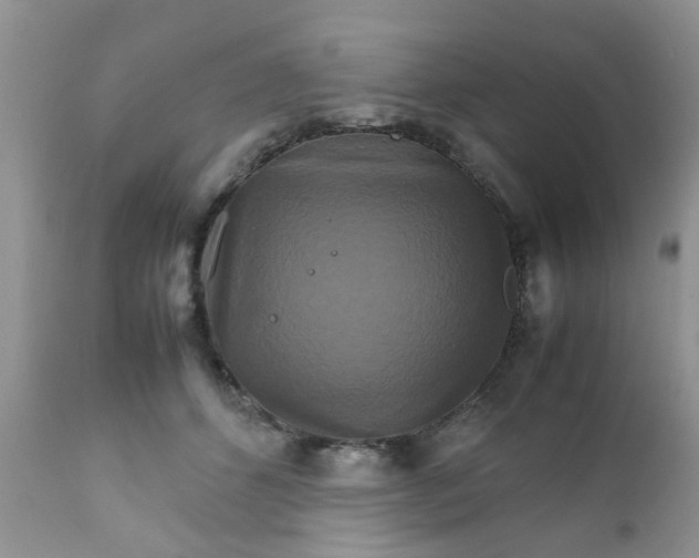 X0000111900512200908171242