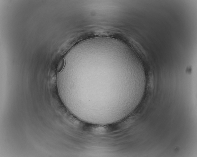 X0000111900513200908171242