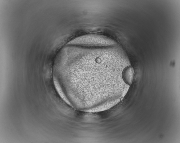 X0000111900515200908171242