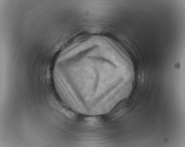 X0000111900516200908171241