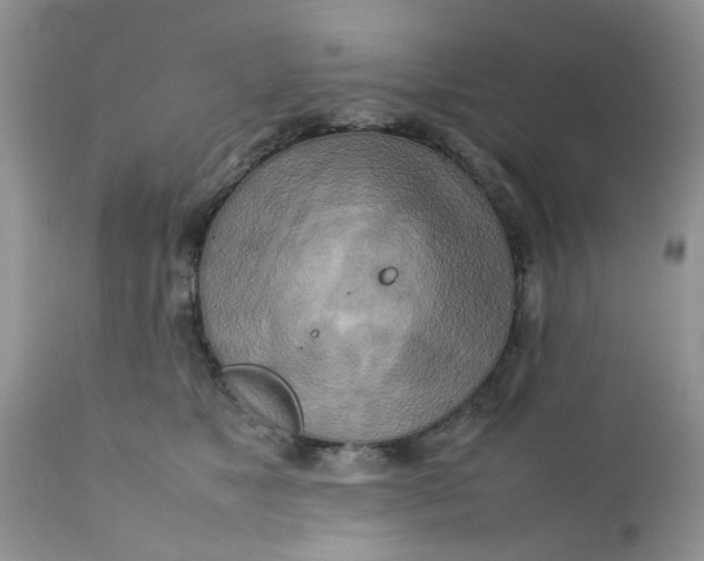 X0000111900517200908171241