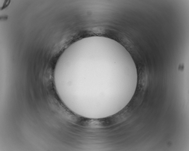 X0000111900518200908171241