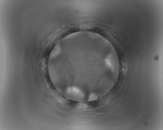 X0000111900519200908171241