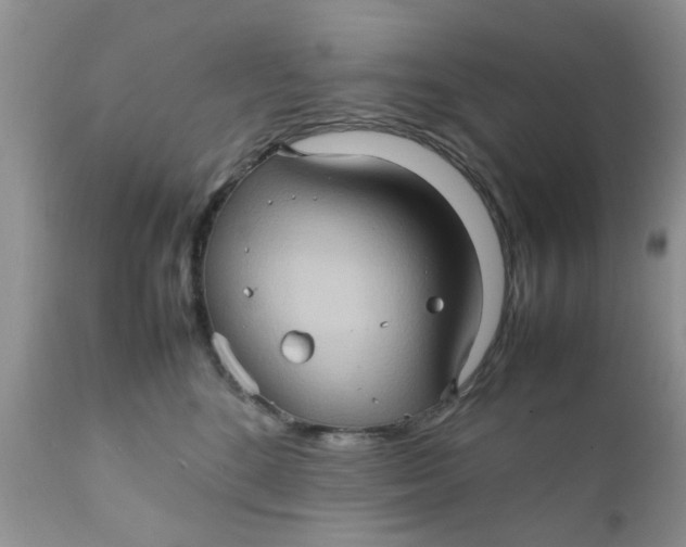 X0000111900520200908171241