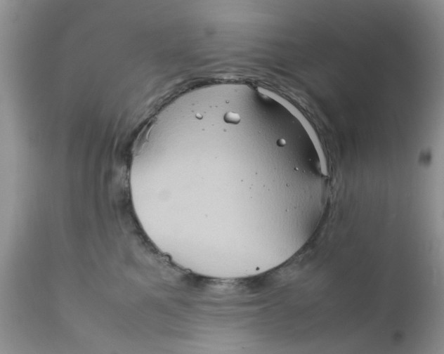 X0000111900521200908171241