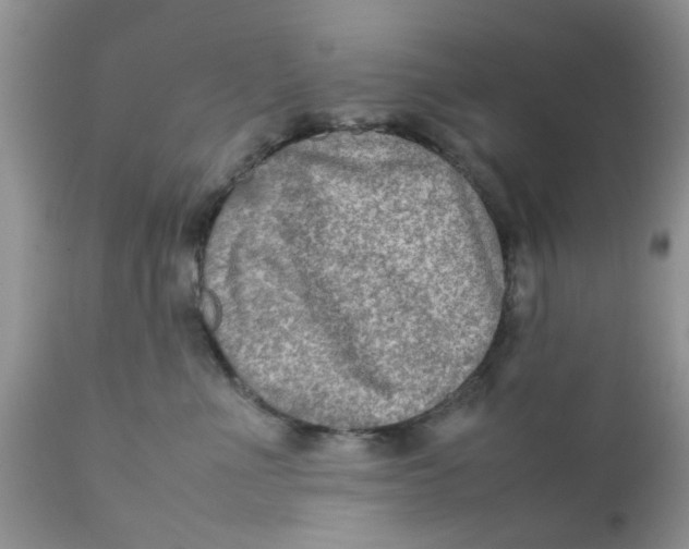 X0000111900523200908171241