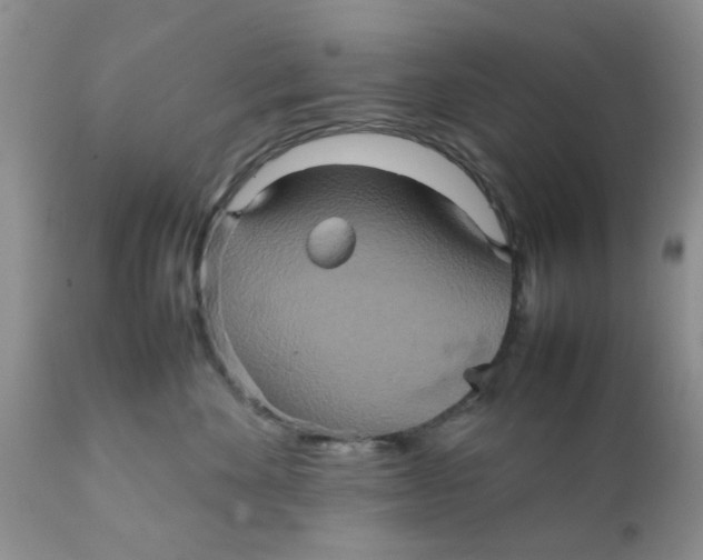 X0000111900524200908171241