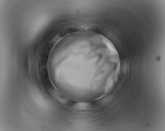 X0000111900526200908171241